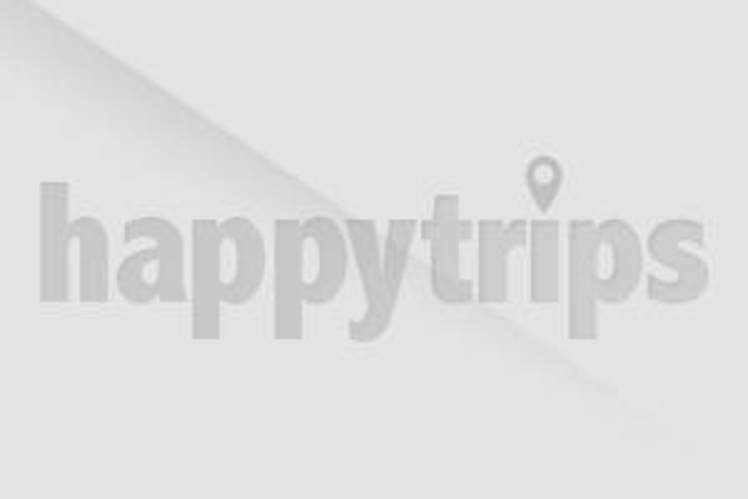National parks in India that are perfect to visit with friends 